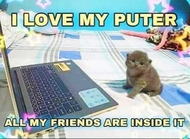 WholesomeMeme's tweet image. 