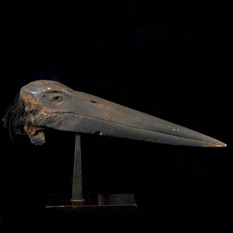 رأس محنط لطائر اللقلق من مصر
عمره حوالي 2500 سنة