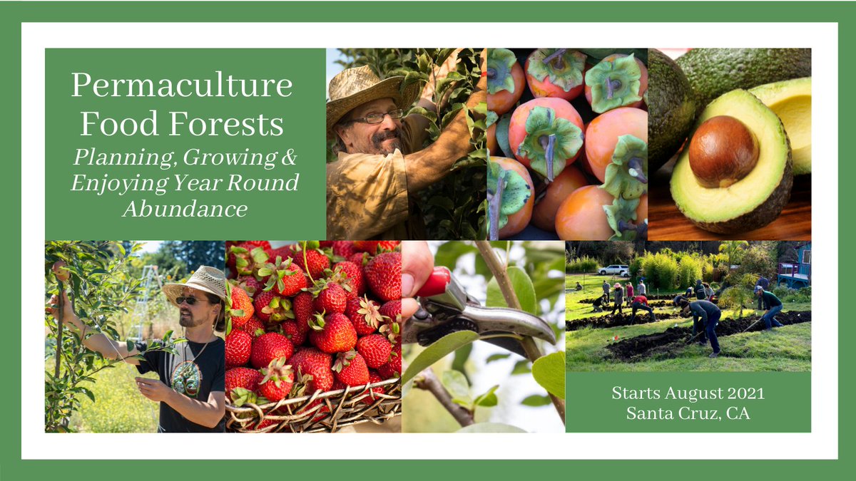 Last chance to sign up for our Food Forests course beginning 8-14. Gain hands-on skills and build community around growing food! Register here: santacruzpermaculture.com/foodforests/