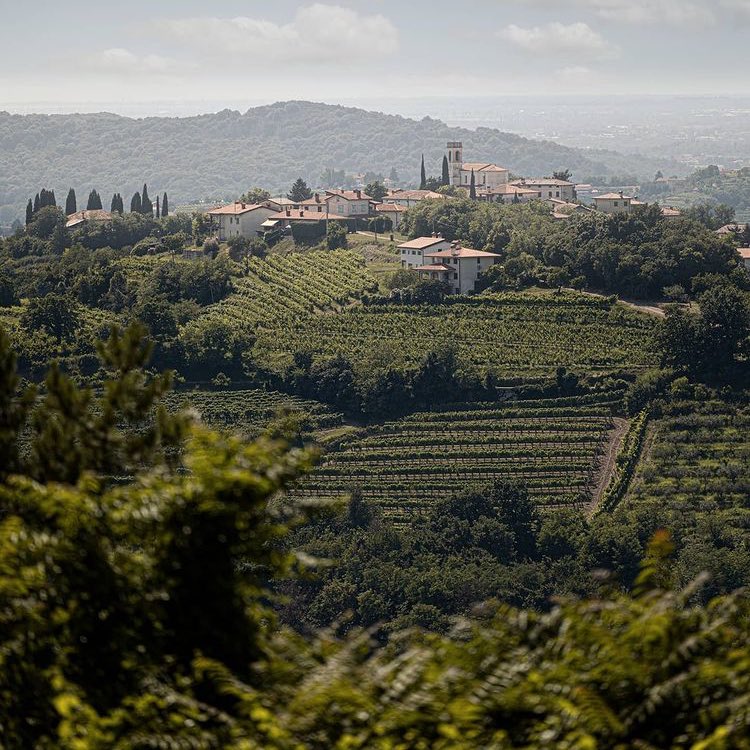 Verde Collio 💚
Non ci stancheremo mai di ammirare i dolci pendii del Collio e oggi lo facciamo grazie allo scatto di Elisa Fedrizzi 

#igersgo #igersfvg #friuliveneziagiulia 

instagram.com/p/CSFVllOsC8m/