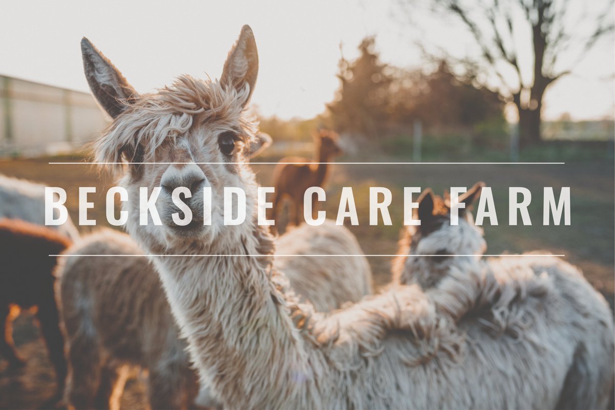 BecksideCF's tweet photo. A vacancy has arisen for a part time activity facilitator (21 hours pw) with a love of people, animals, and the outdoors. Experience of working on a care farm, or similar, is preferred. If interested in this rare opportunity, please email your CV to info@becksidecarefarm.co.uk https://t.co/JzzCiC7jP0