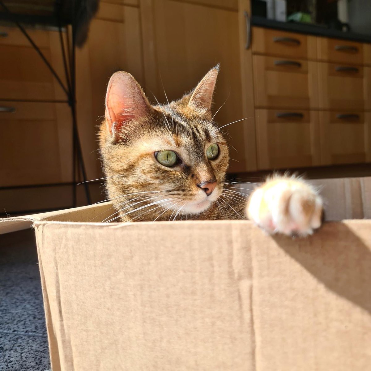 1bike1world_'s tweet photo. Some good news, money from the 2021 calendar has finally been counted and we managed to raise £90830!!!
Massive thank you to everyone who bought a calendar, because of this we are able to help many more animals ❤ https://t.co/ZRuoJPlEd4