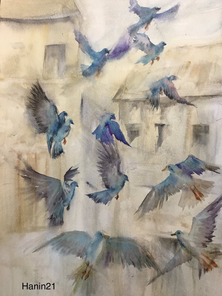 Watercolor 12x18. Even in the blurry spaces, we all have absolute freedom that is through love, respect, and understanding. #ArtetaOut #artwork #artist #painting #birdart #aquarellepainting #watercolorpainting hannahwong19@gmail.com haninwatercolor(FB page) hannahwong59