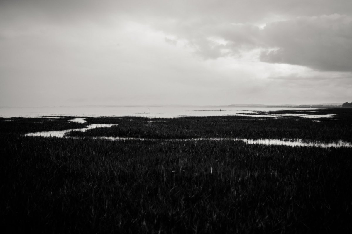 Black and white. Yes or no?