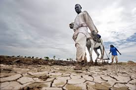 Africa is the most-exposed region to the effects of climate change despite contributing the least to global warming. Current climate trajectory could force 100 million people into extreme poverty by 2030 if climate action is not taken seriously.
#ClimateJustice
#WhatHasChanged