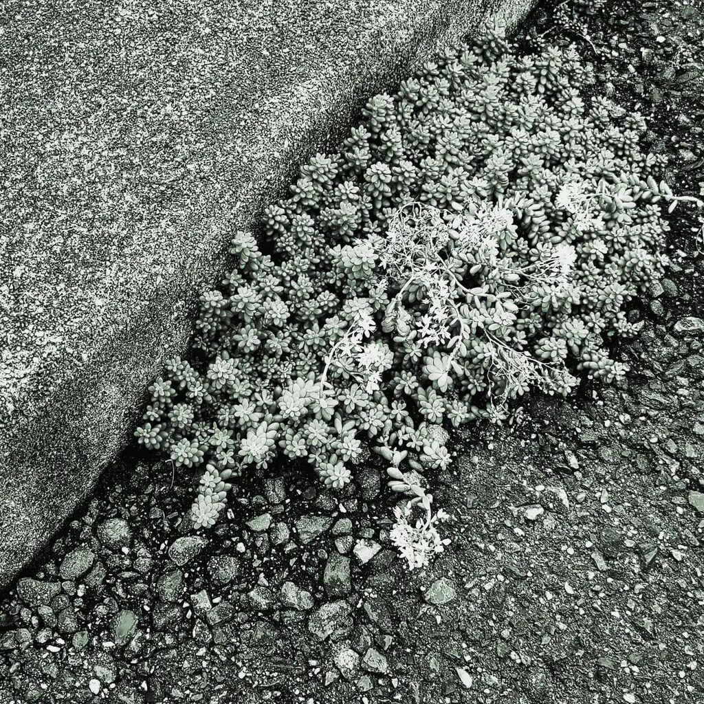 gazetta3ezwebn1's tweet photo. August 17

Alpine  geranium

#Bipolardisorder 
#dpression 
#HSP
#HSS
#fashion 
#dream 
#planedrafting 
#dior 
#selfstudy 
#Ownshop 
#双極性障害
#うつ https://t.co/fotxMqpEmB https://t.co/fdZrjfUJKU
