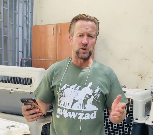 marcthevet's tweet image. URGENT: Please contact @morton_wendy, @JamesCleverly, @DominicRaab, @ZacGoldsmith, @tariqahmadbt, @BWallaceMP &amp;amp; let them know they have the ability to be the difference for 71 innocent Afghans &amp;amp; many animals too. Watch @PenFarthing&apos;s FB live: facebook.com/nowzadrescue/v… #OperationArk