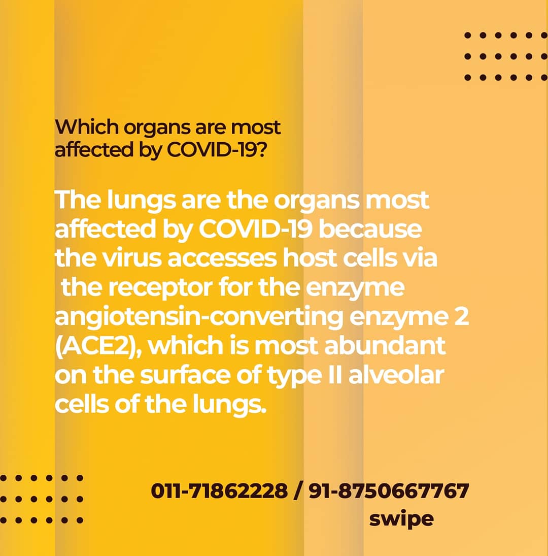 HealthPathLabs1's tweet photo. Follow @healthica_path_labs 
.
#healthica_path_labs #healthica #healthier #covid #covidvacccine #covidtesting #testing #covidindia #covidvaccination #vaccination #ᴠᴀᴄᴄɪɴᴇssᴀᴠᴇʟɪᴠᴇs #precautions #promotion #preventionisbetterthancure #healthiswealth #healthylifestyle https://t.co/LuCGzXPBpp