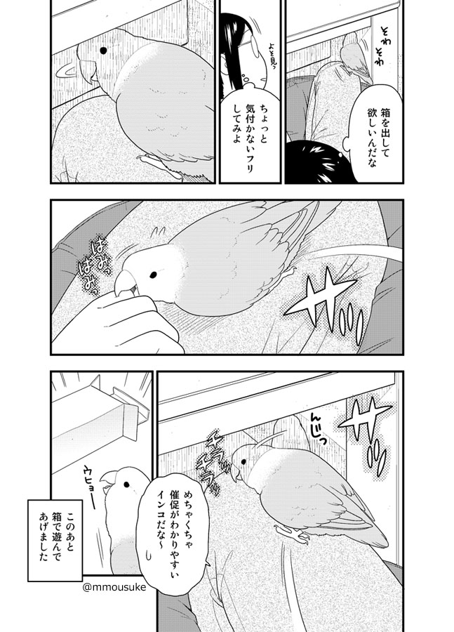 箱を出して欲しいインコ漫画です 