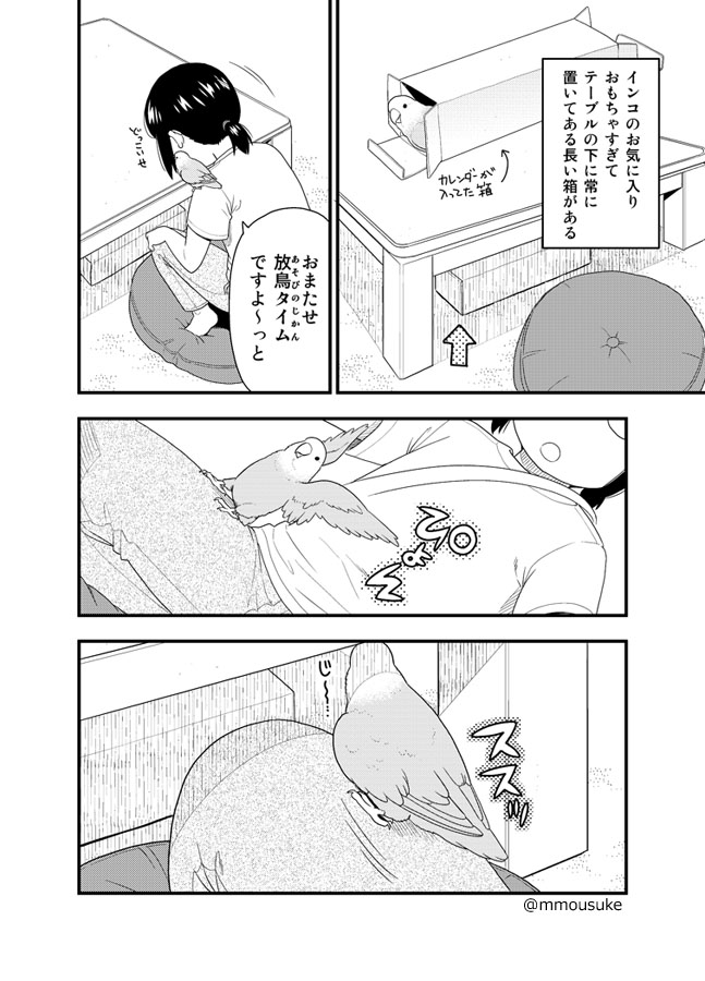 箱を出して欲しいインコ漫画です 