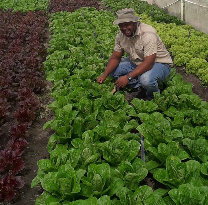 otukilef's tweet image. When am bored i read either about Israel or Brazil farming.Anything is possible mate🙌🙌🙌