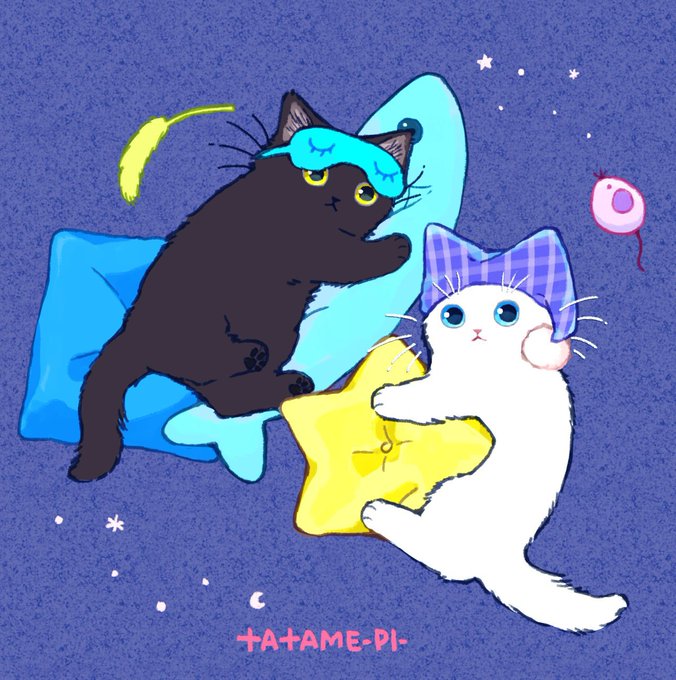 「寝そべり 白い猫」のTwitter画像/イラスト(新着)｜5ページ目