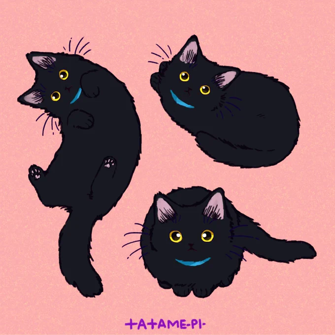 くろねこいっぱい。🐈‍⬛
#黒猫感謝の日 
