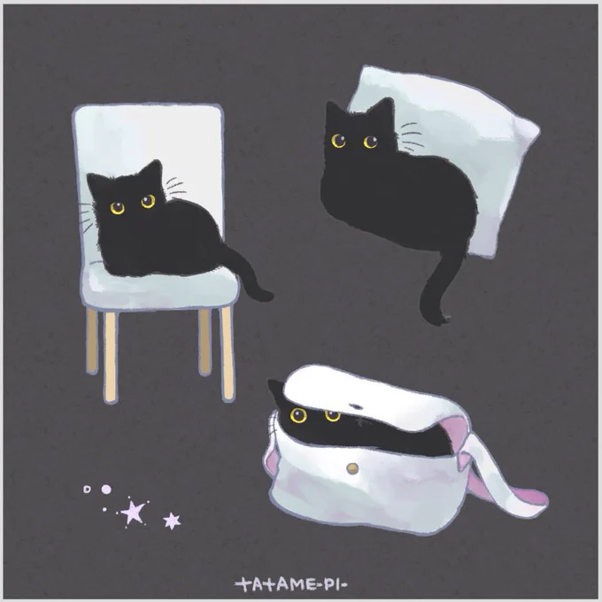 くろねこいっぱい。🐈‍⬛
#黒猫感謝の日 