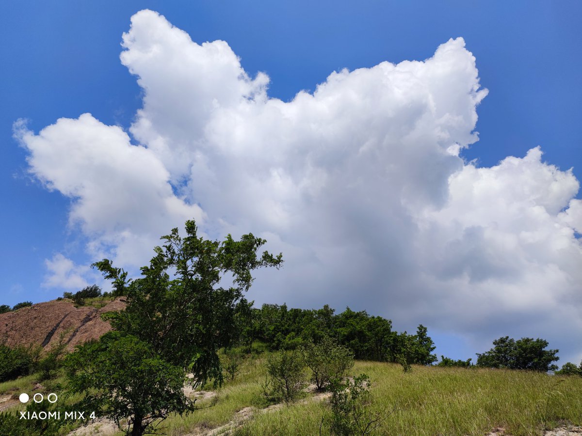 rudhranandu's tweet image. Shot on Mi MIX 4.
#Xiaomi #MIMIX4