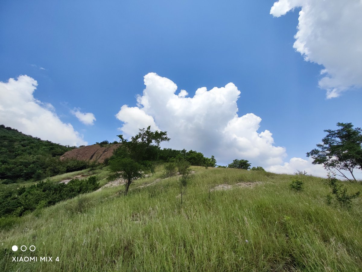 rudhranandu's tweet image. Shot on Mi MIX 4.
#Xiaomi #MIMIX4