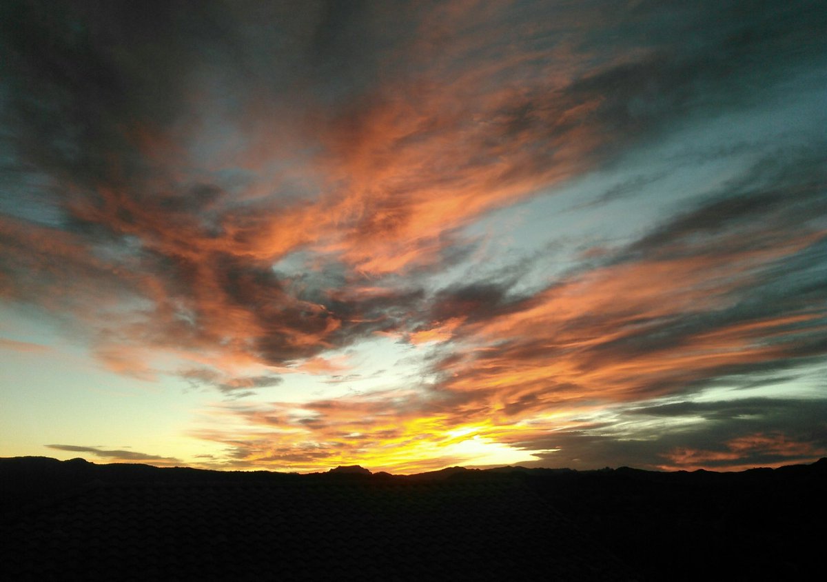 Sheri Lynn tweet media