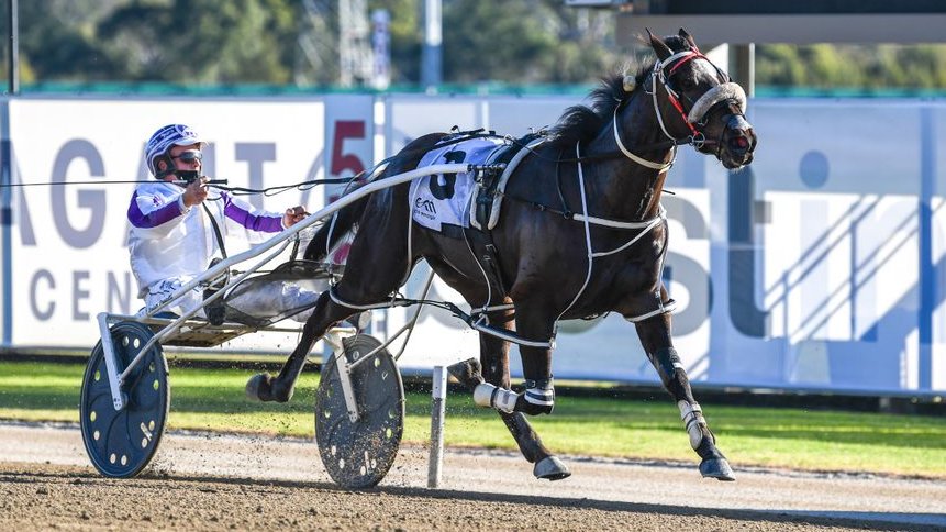 ClubMenangle's tweet photo. 𝗔𝗣𝗚 𝗚𝗢𝗟𝗗 𝗦𝗢𝗩𝗘𝗥𝗘𝗜𝗚𝗡 𝟮𝗬𝗢 𝗖&amp;𝗚 (𝗚𝗥𝗢𝗨𝗣 𝟯)
https://t.co/KtI1tCBfnm
🐴SMALTESE
𝗧𝗥𝗔𝗜𝗡𝗘𝗥: Brian Portelli
𝗗𝗥𝗜𝗩𝗘𝗥: Brian Portelli https://t.co/rvzTsLtBbe