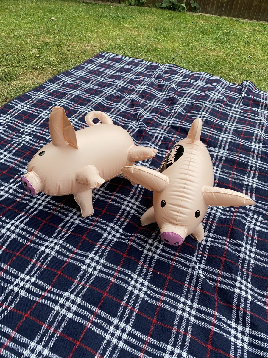 CopseMagazine's tweet image. Pass the Pigs – Garden Edition. A simple remake of a much-loved game can bring hours of fun to the family BBQ this summer.  copsemagazine.co.uk/2020/06/pass-t… #copse #magazine #design #lifestyle #family #games