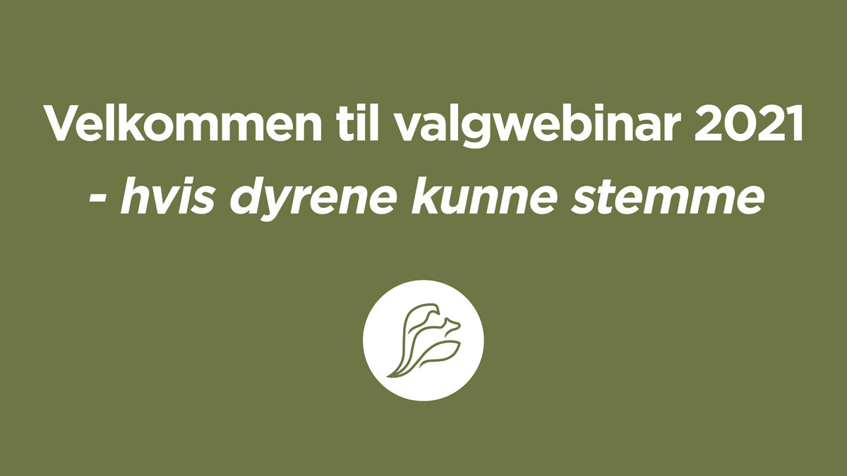 Bli med på webinar onsdag 18. august kl 11.30 :-)  

#dyrevern #dyrevelferd #dyrsrettigheter #landbruk #pelsdyr #pels #dyrepoliti 

<a href="/Partiet/">Miljøpartiet De Grønne (MDG)</a> <a href="/Venstre/">Venstre</a> <a href="/Raudt/">Rødt</a>
@anaevra <a href="/SVparti/">SV</a> 

Meld deg på her:
facebook.com/events/3470376…