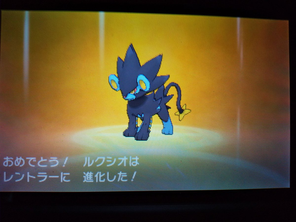 のぐちきほ I M Looking For Only Rose 独りぼっちの創作家見習い ルクシオ レントラーとロゼリア ロズレイドに進化ヽ ﾉ そして最愛のミミッキュたんはサン ムーン初のlv100ポケモンに 最後全部キレイに 3で揃いで終わるの良い この子と