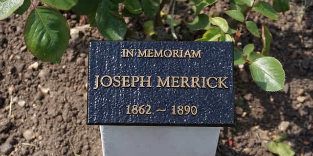 Joanne Vigor-Mungovin tweet media