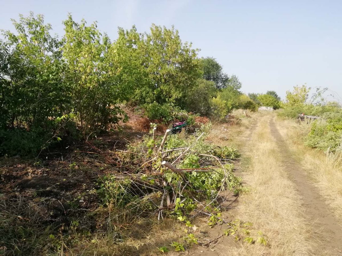 На территории поселения приступили к  реализации Губернаторского проекта "Содействие". Ведутся работы по демонтажу старого забора.