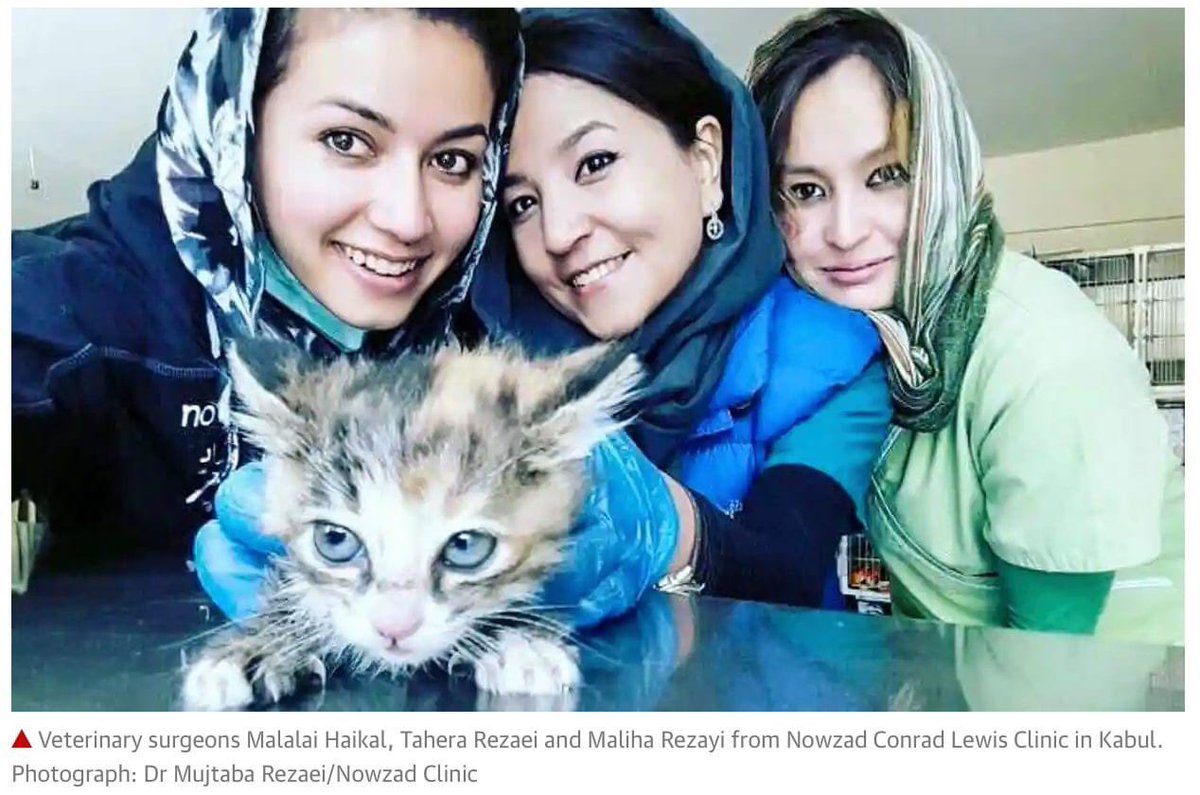 domdyer70's tweet image. We fought a war costing billions of pounds &amp;amp; over 500 brave lives to empower these women to save animals we are not bloody leaving them behind to the Taliban @Nowzad @BorisJohnson @ZacGoldsmith @carrielbjohnson @rickygervais @PeterEgan6 @DeborahMeaden @GaryLineker @piersmorgan