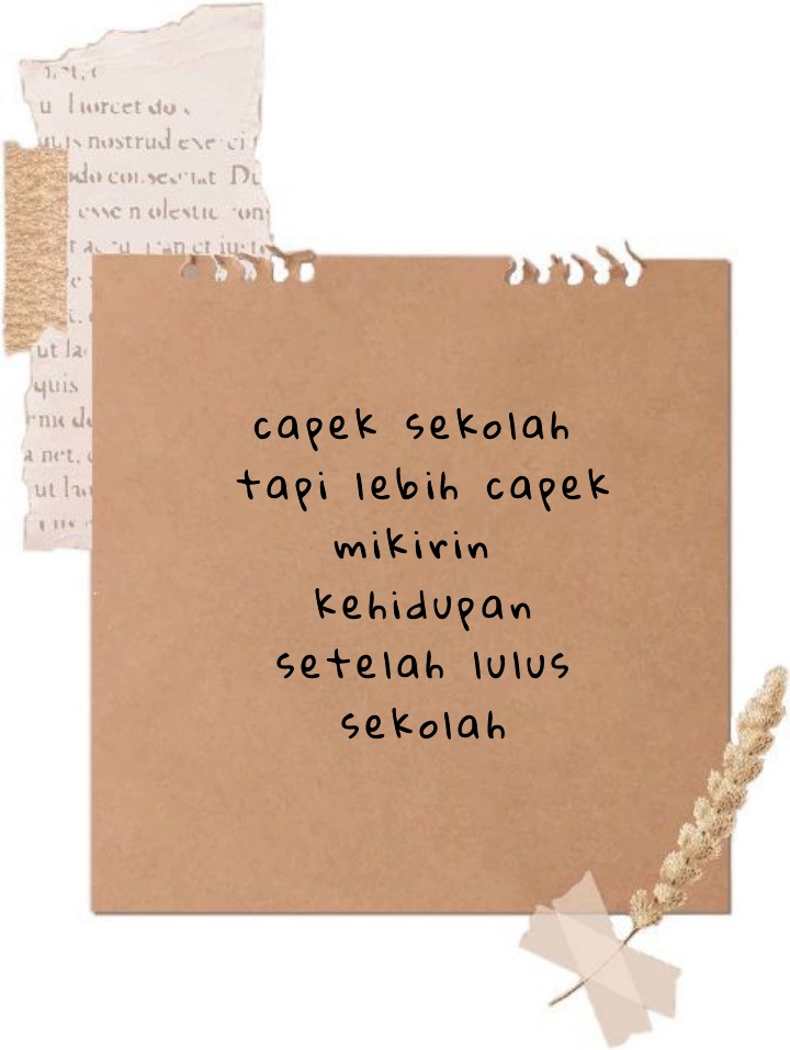 schfess's tweet image. sch!