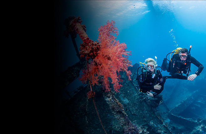 DeepMexico1's tweet image. The knowledge and techniques that you will acquire in the Advanced Open Water Diver course vary according to the interest you have and the adventures you live, but include...

Know more about it : bit.ly/2UmLQPE
Email by : info@deepmexico.com

#DeepMexico #divingincenote