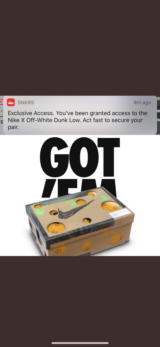 exclusive access dunks
