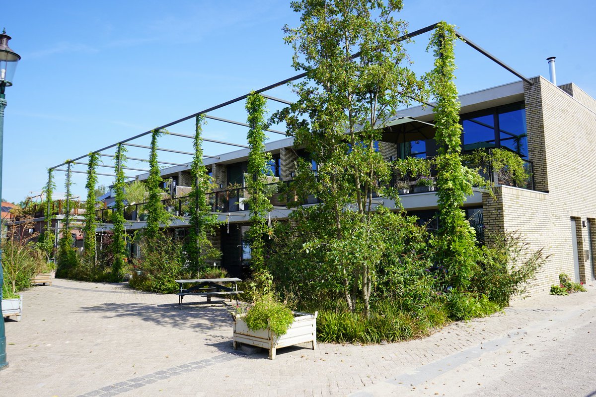 NandaSluijsmans's tweet photo. Een eenvoudige #pergola aan deze woningen. Met een fantastische uitstraling als resultaat!
Architect: #Houben/Van Mierlo #NRE-terrein #Eindhoven
#Inspiratiebeeld 65: #Natuurinclusief bouwen 🕷🌿🐦 https://t.co/10Qa1vspB8