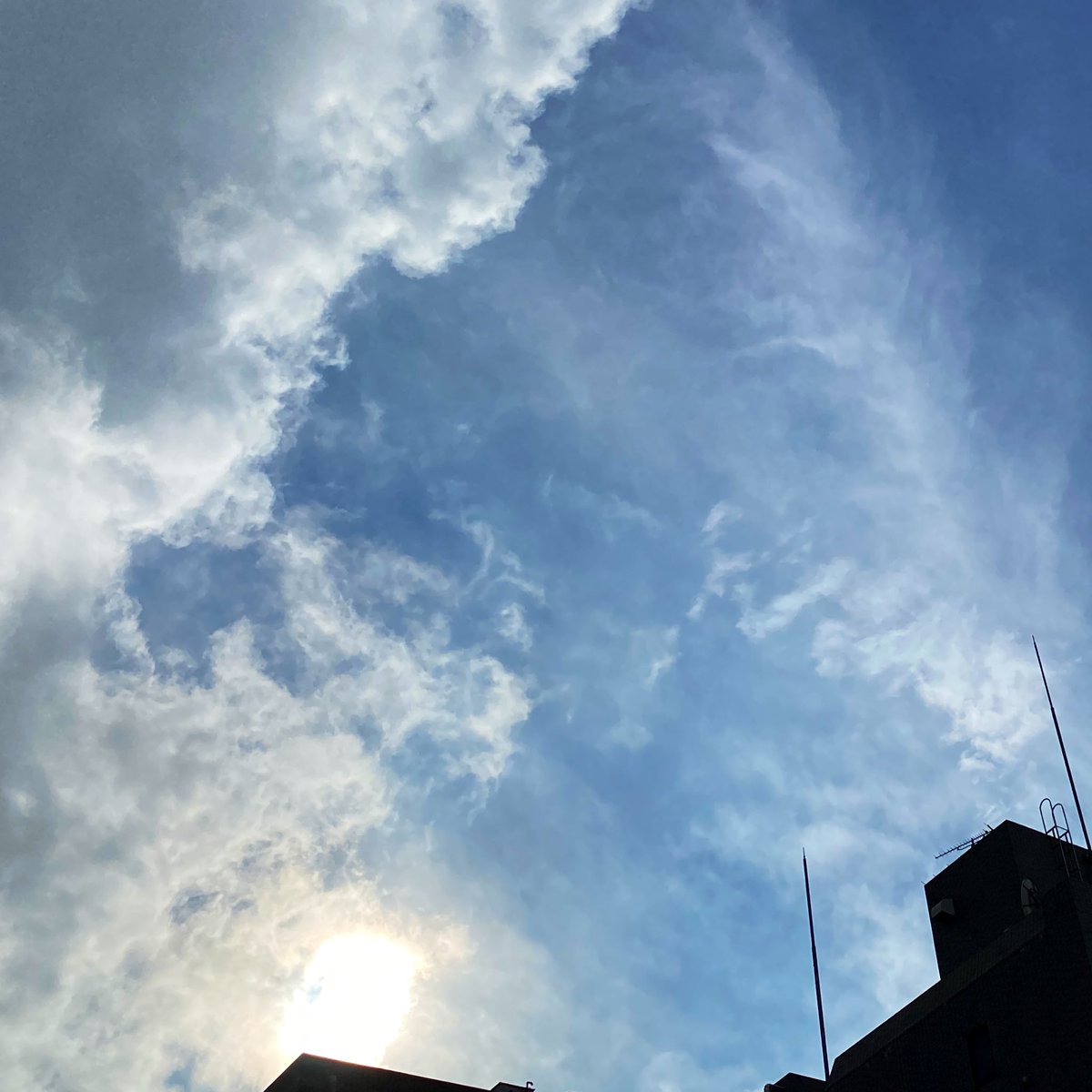 久々の晴れ間☀️
窓際が明るいです🎵ずっと雨だったから嬉しい😆

また気温上がるみたいなので体調にお気をつけて🍀
#寒暖差に注意 
#残暑を乗り切ろう