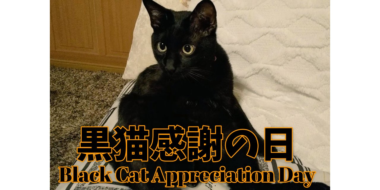 黒猫クロス 黒猫は不吉の象徴なんかじゃないよ 夏目漱石の吾輩は猫であるのモチーフは黒猫で 彼の出世作になったからその黒猫は福猫って言われてかわいがられたんだよ 黒猫感謝の日 黒猫 ボンベイ 猫好きさんと繋がりたい T Co 38ekdpm7ht 黒猫クロス 黒猫は不吉の象徴なんかじゃないよ 夏目漱石の吾輩は猫であるのモチーフは黒猫で 彼の出世作になったからその黒猫は福猫って言われてかわいがられたんだよ 黒猫感謝の日 黒猫 ボンベイ 猫好きさんと繋がりたい T Co 38ekdpm7ht