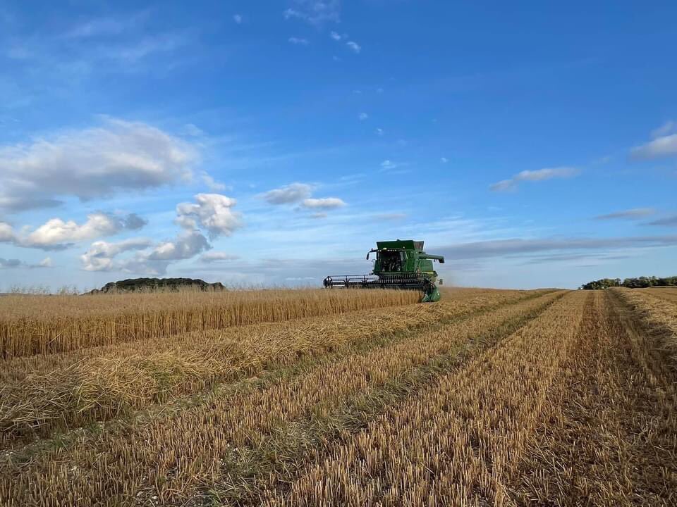 RowdefieldT's tweet image. Cutting oats yesterday in the sun ☀️ #teamrowdefield