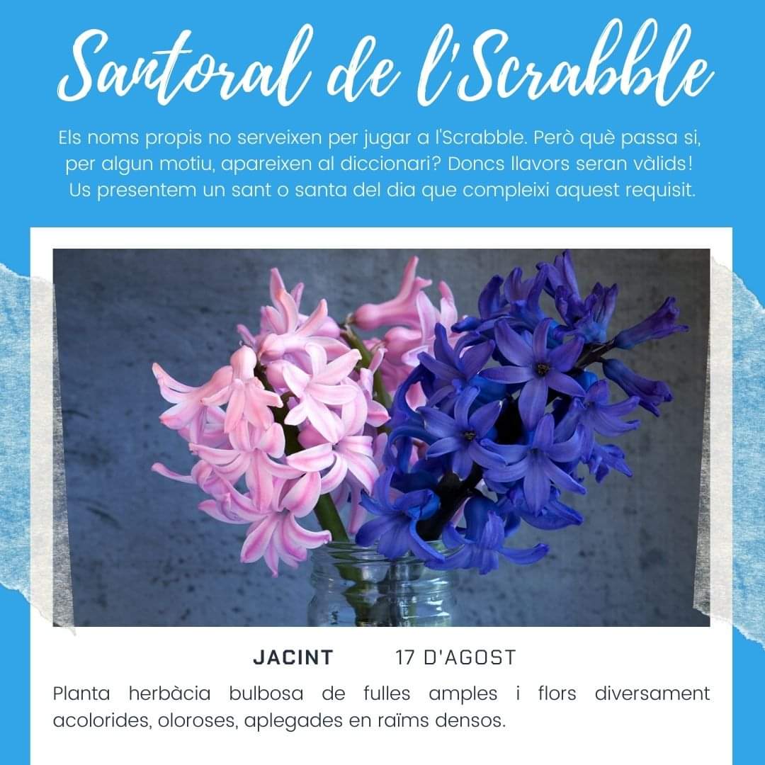fiscrabblecat's tweet photo. Hem creat un #santoral molt especial: tots els sants i santes que hi apareixen són paraules vàlides per a jugar a #Scrabble en #català. #scrabblecatalà #escrable #scrabbleCAT #scrabbleencatalà #santoraldelscrabble #17agost #jacint #agost 
https://t.co/CVay7JuUZ6 https://t.co/ZdFAAKbcQk