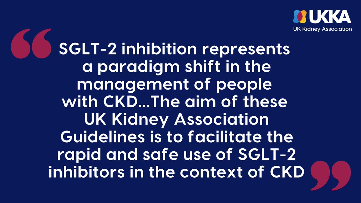 📣 Guideline for review 📣 

Draft UKKA guideline on Sodium-Glucose Co-transporter-2 (SGLT-2) Inhibition in Adults with #KidneyDisease is now available for review &amp; comments:

renal.org/health-profess…

#SGLT2 #CKD <a href="/AndrewFrankel1/">Andrew Frankel</a> <a href="/willkidney/">Will Herrington</a> <a href="/drjamesburton/">James Burton</a>