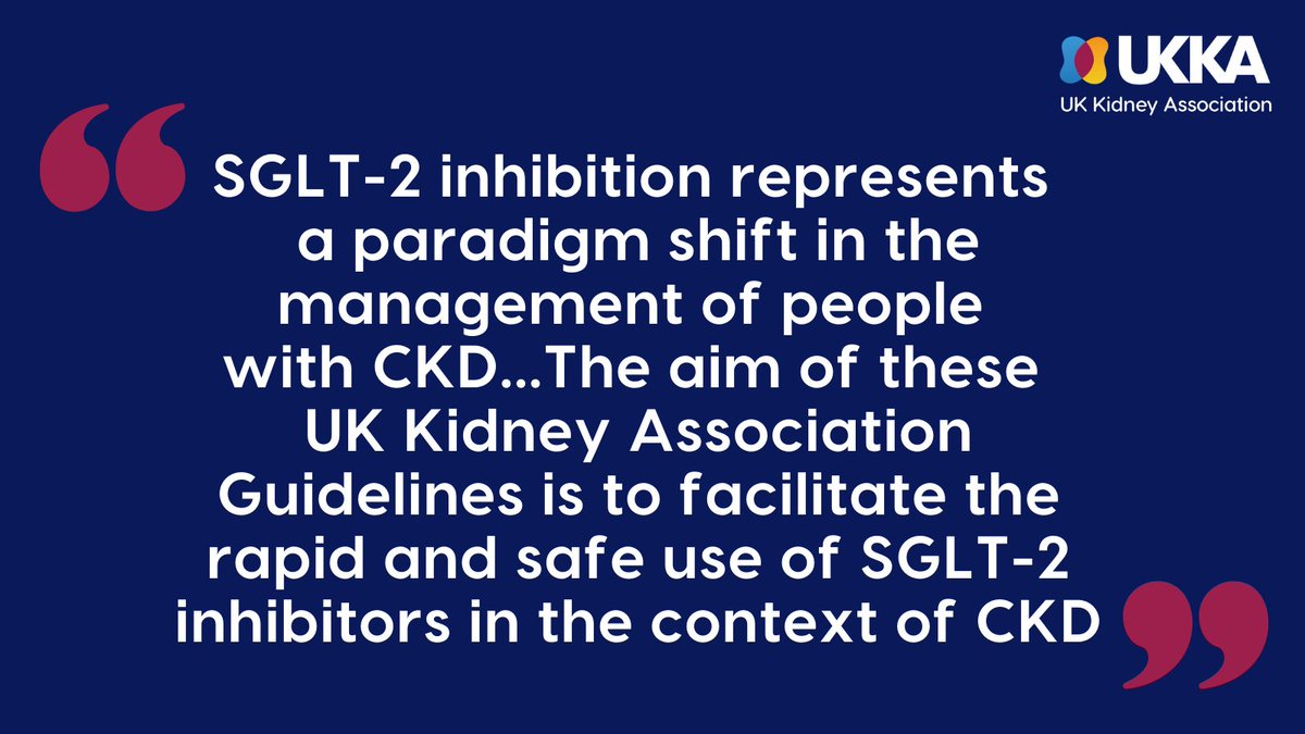 📣 Guideline for review 📣 Draft UKKA guideline on Sodium-Glucose Co-transporter-2 (SGLT-2) Inhibition in Adults with #KidneyDisease is now available for review & comments: renal.org/health-profess… #SGLT2 #CKD @AndrewFrankel1 @willkidney @drjamesburton