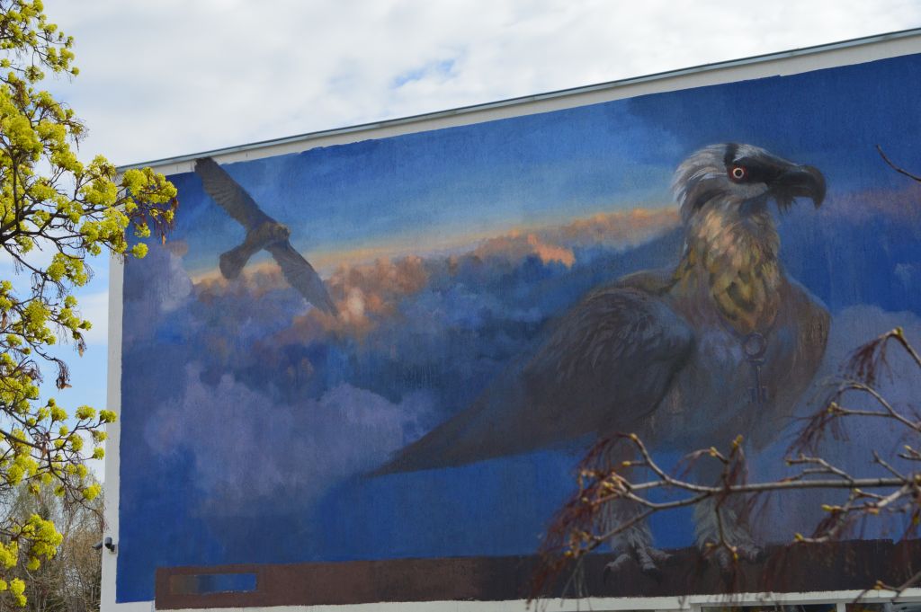 greenbalkans tweet media