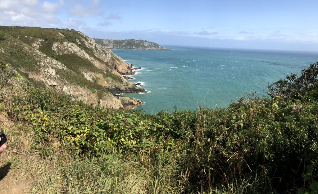 Bev Hall she/her tweet media