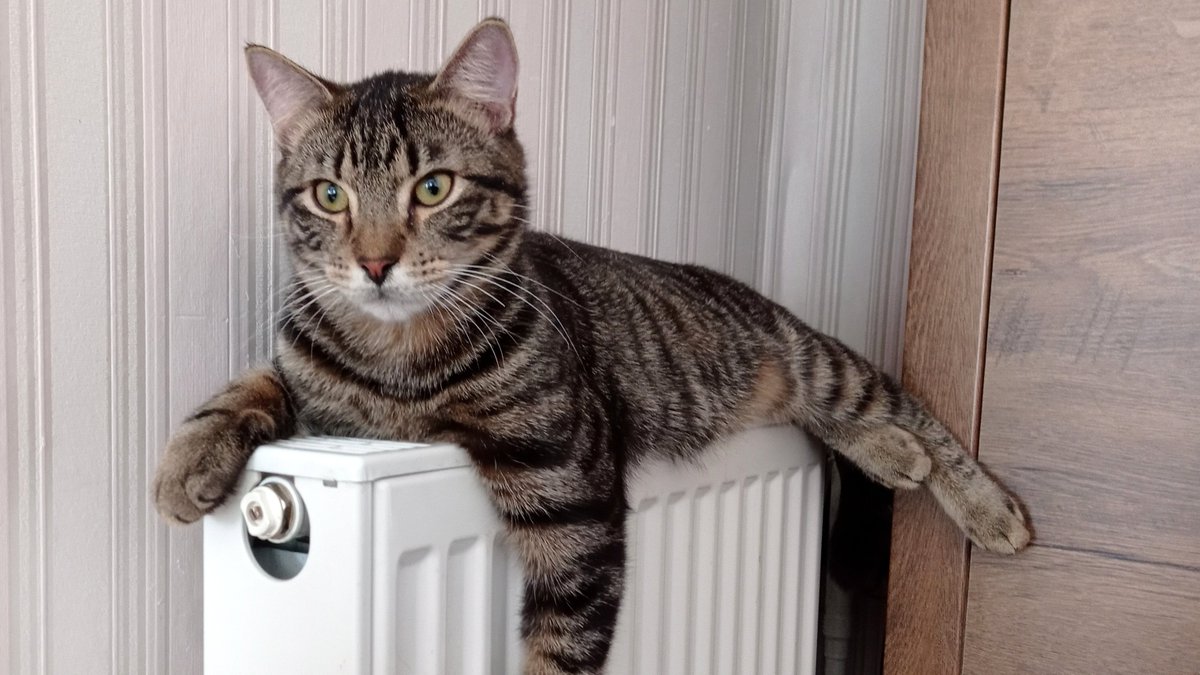 vlad (@vlad43543493) on Twitter photo 