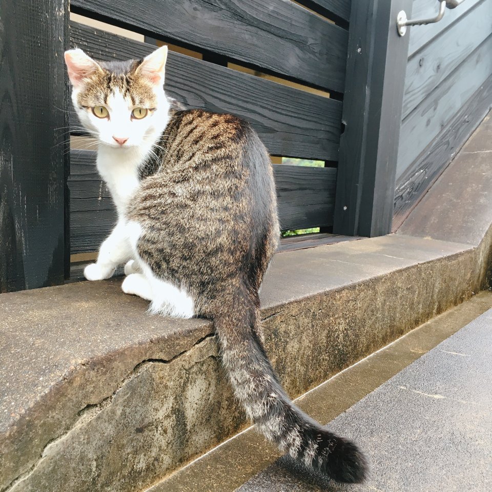 TeK_5's tweet photo. 選んでくれてさんきゅーでした https://t.co/uwsrO13IPu