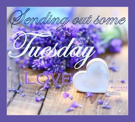 Princess3Rina's tweet photo. #SendingOut #TUESDAY๐
@MORDE110 @TriciaMorrisADR @Robyn_RihannaRF
@palomacreative @BlueLoveSummer
@KMOoceanGIRL @WokeAnimal @AndyHTudor1 @WillBrentP56 https://t.co/paciAoXA3G