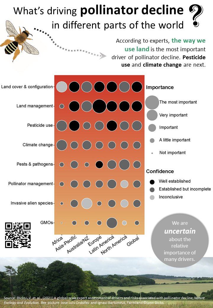 VOODOO Project (@voodoo_eu) on Twitter photo Now published <a href="/NatureEcoEvo/">NatureEcoEvo</a> expert assessment on #drivers and #risks to #pollinators of multiple pressures, including #pests, #pathogens and #landuse.
nature.com/articles/s4155… <a href="/INRAE_DPT_SPE/">INRAE Santé des Plantes et Environnement</a> <a href="/INRAE_France/">INRAE</a> <a href="/UMRAgroecologie/">UMRAgroecologie</a> Now published <a href="/NatureEcoEvo/">NatureEcoEvo</a> expert assessment on #drivers and #risks to #pollinators of multiple pressures, including #pests, #pathogens and #landuse.
nature.com/articles/s4155… <a href="/INRAE_DPT_SPE/">INRAE Santé des Plantes et Environnement</a> <a href="/INRAE_France/">INRAE</a> <a href="/UMRAgroecologie/">UMRAgroecologie</a>