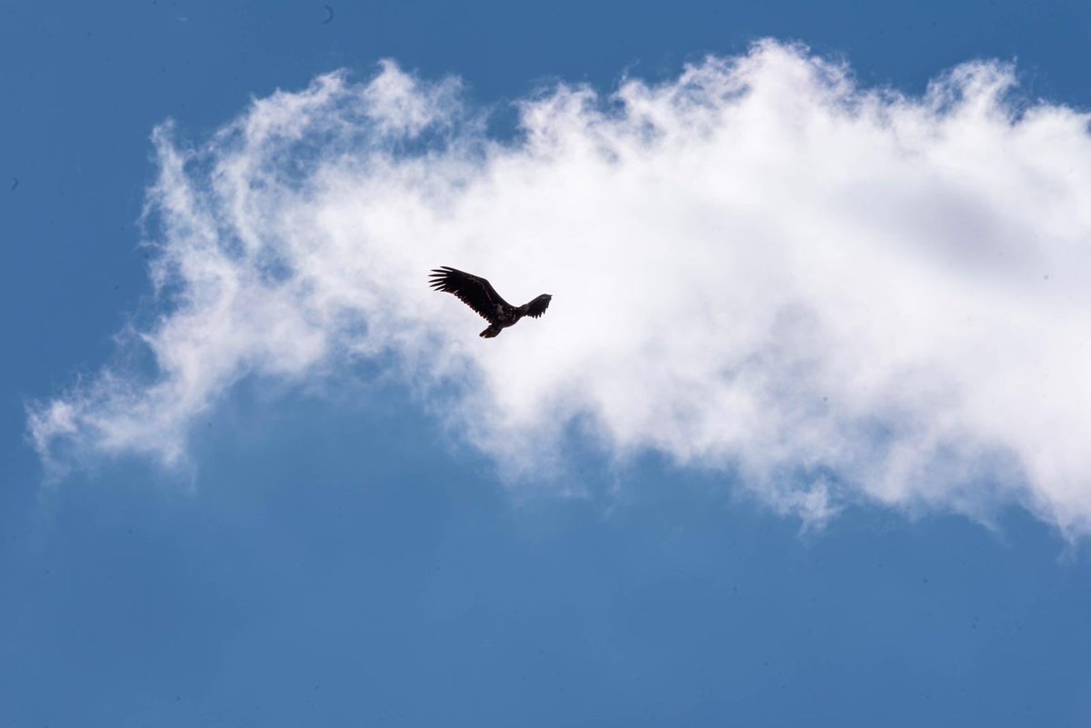 Kees Klapwijk (@keesklapwijk) on Twitter photo 