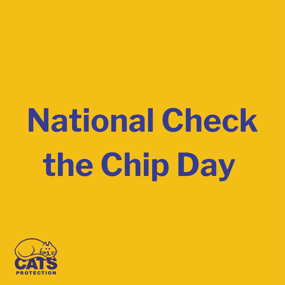 farnhamcats's tweet photo. Whether you’ve just bought a kitten or adopted an older cat, making sure they are microchipped should be top of your list, as it gives them the best chance of being identified and returned to you if they are lost or stolen. Microchips are safe, easy to implant and effective! https://t.co/HgfcMKkp3j