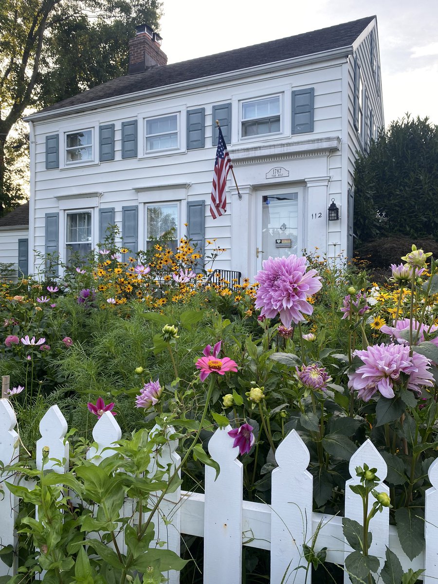 agardenforus's tweet photo. Two weeks away and the garden has exploded https://t.co/8pHQmfnNP4
