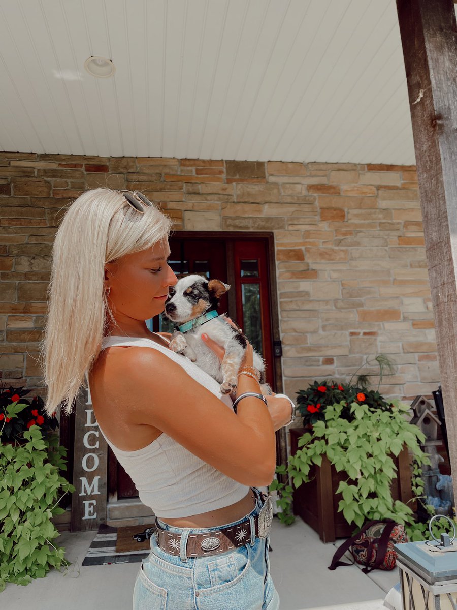 ericakosinski's tweet photo. my sweet little Brandi girl🤍 https://t.co/cz235K5vo6