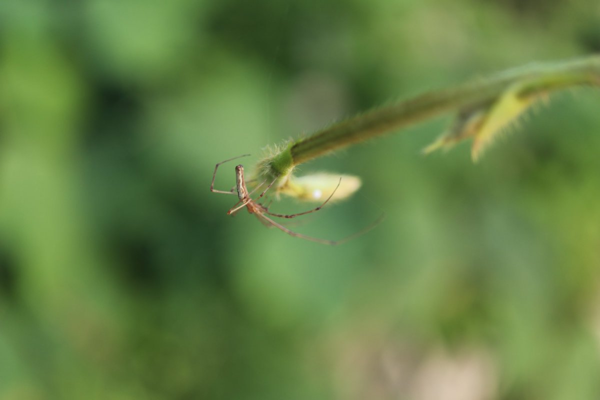 문왕수 (@shiri_300) on Twitter photo 