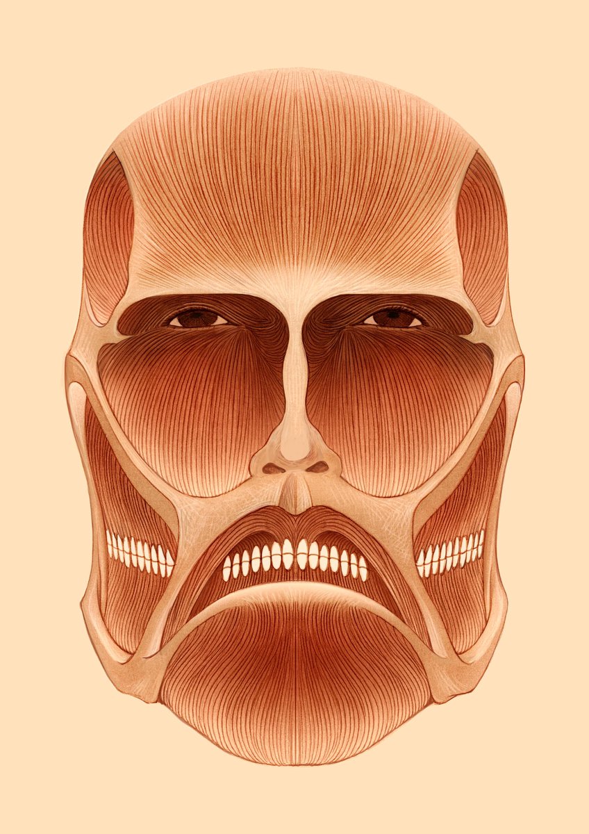 人生初、フアンアートです